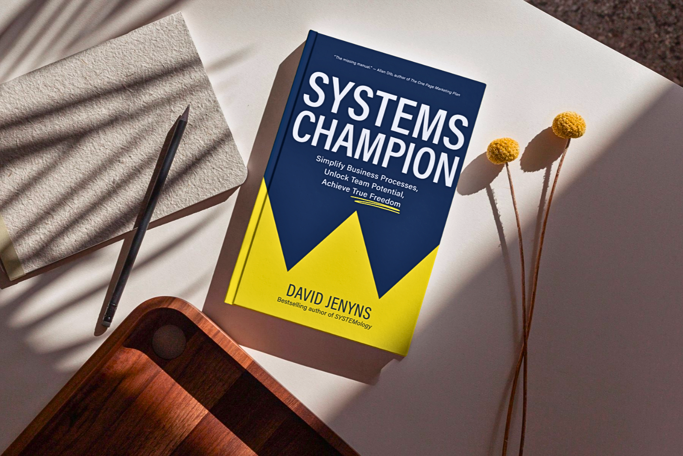 Systems Champion by David Jenyns