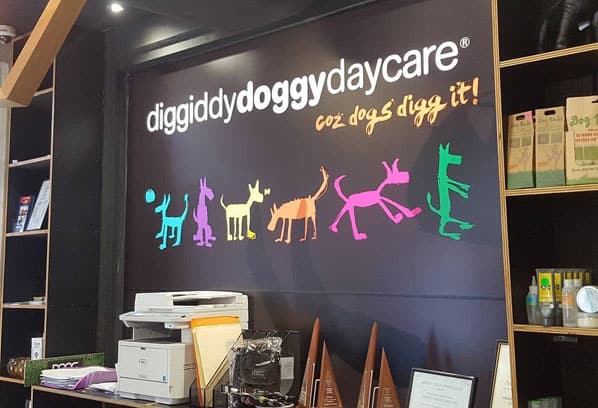 The DiggiddyDoggyDaycare front office in South Melbourne with award trophies on the counter