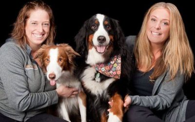 How Two Sisters Built a Dog Daycare So Sellable That PETstock Bought It (And Why We Celebrated Their Unsubscribe Email)