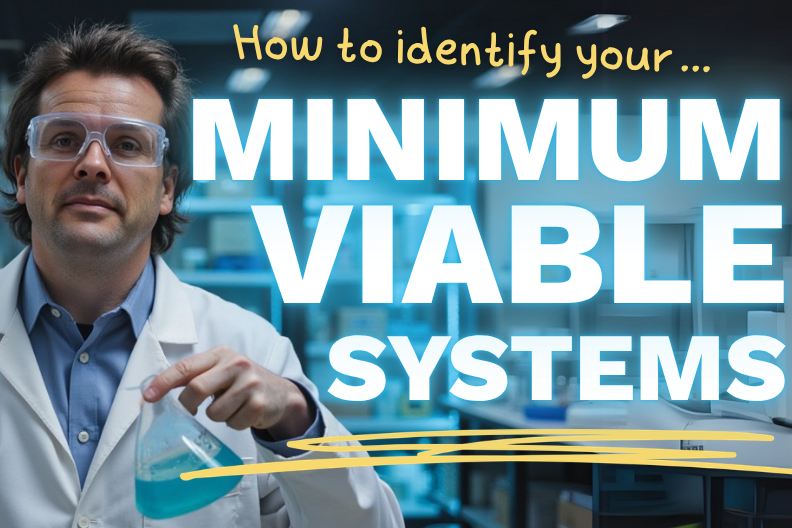 What are Minimum Viable Systems and How to Optimise Your Processes